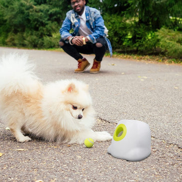 PUREVACY White Automatic Dog Ball Launcher Machine; Automatic Tennis Ball Thrower for Dogs 10.2 x 8.3 x 10.6; ABS Automatic Ball Launcher for Dogs; Pet Ball Launcher with 3 Tennis Balls