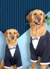 Pet clothes Big dog striped bow tie suit Dog clothes Pet supplies