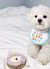 New Happy Birthday Embroidery Dog bib Pet Cat Dog bib Mouth towel