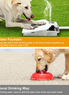 Dog Water Fountain Outdoor Dog Pet Water Dispenser Step-on Activated Sprinkler