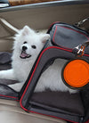 2PCS Folding Bowl Outdoor Portable Dog Bowl Drinking Bowl Dog Bowl Cat Bowl Pet accompanying Cup Dog Bowl