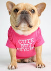 dog clothes starling English short bulldog pet clothing round collar T-shirt Teddy than panda dog clothing